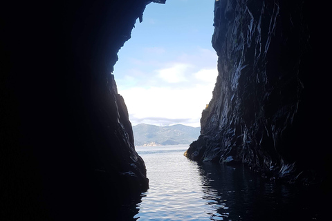 Gulf of Porto: Visit to the Calanques de Piana and the Scandola Reserve Gulf of Porto: Visit to the Calanques de Piana