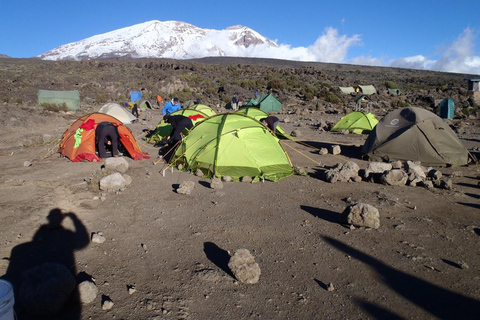 8 giorni sul Monte Kilimanjaro in Tanzania Percorso Lemosho