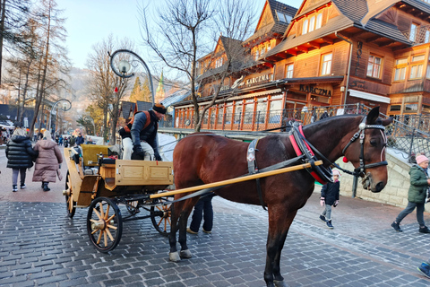 Krakow: Zakopane E-Bike Tour, Chocholow & Thermal Baths
