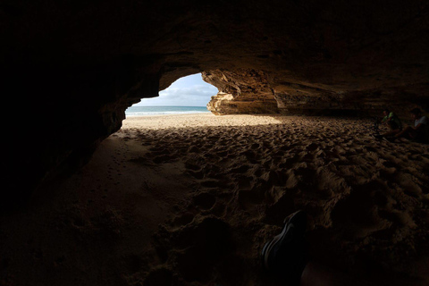 Boa Vista: całodniowa wycieczka łączona z lunchemBoa Vista: całodniowa wycieczka łączona z obiadem