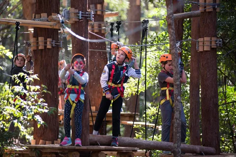 Coffs Harbour: Junior Tree Ropes Course