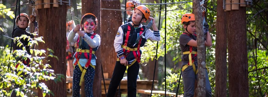 Coffs Harbour : Parcours d'accrobranche junior