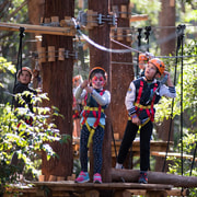 Coffs Harbour: Junior Tree Ropes Course