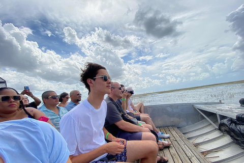 Miami: Everglades Airboat, Wildlife Show & Transfer Spanish