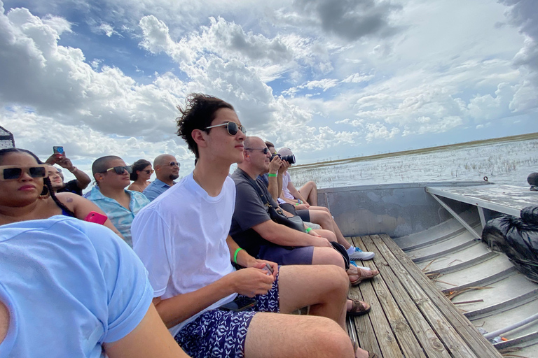 Miami: Everglades Airboat, Wildlife Show & Transfer Spanish