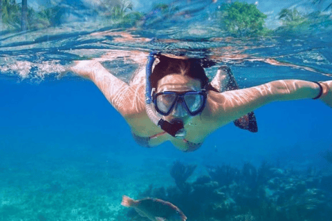 Private Catalina Island Snorkeling & Beach Day Trip