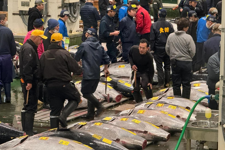 Tokyo: Toyosu Tuna Auction+Seafood Breakfast/Tsukiji Stroll Tuna Auction & Seafood Breakfast (with Meal)