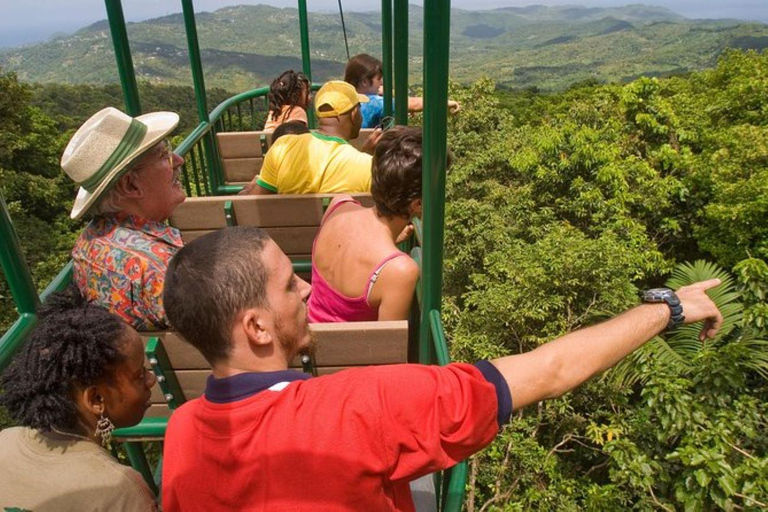 St. Lucia: Zip Line, Luftkissenbahn und Wandertour