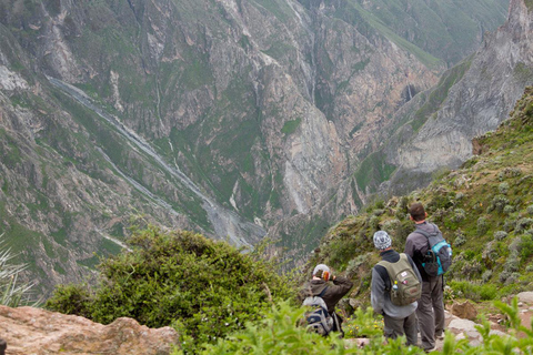 COLCA TREK - 2 DAYS - THE BEST TREKfrom Arequipa: trek 2 days 1 night - colca canyon