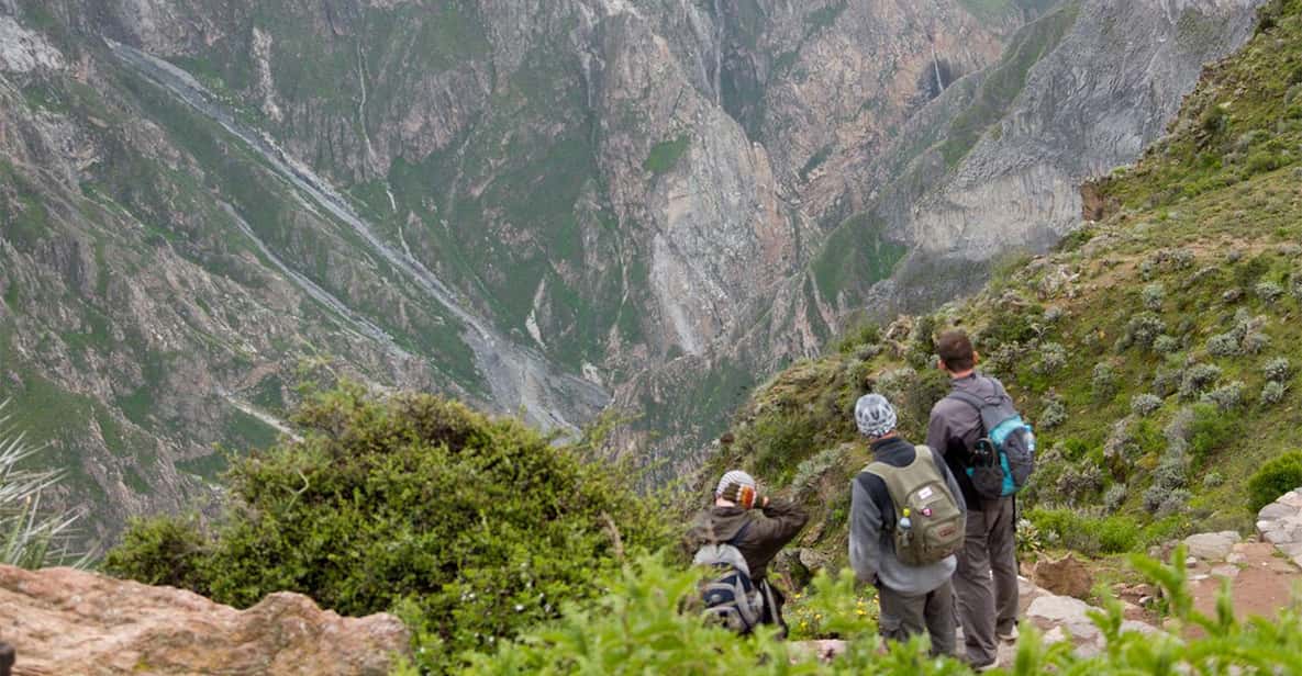 Ab Arequipa: 2‑tägige Colca‑Canyon‑Trekking‑Tour