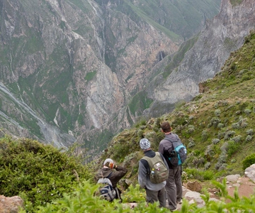 De Arequipa: Excursão de 2 dias ao Cânion do Colca