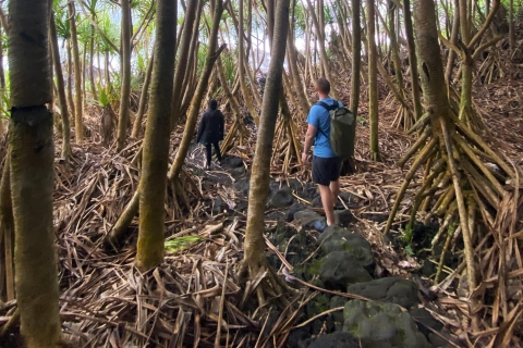 Private Wanderung zum geheimen Gezeitenteich im Dschungel, mittlere Entfernung2,5-Stunden-Erlebnis
