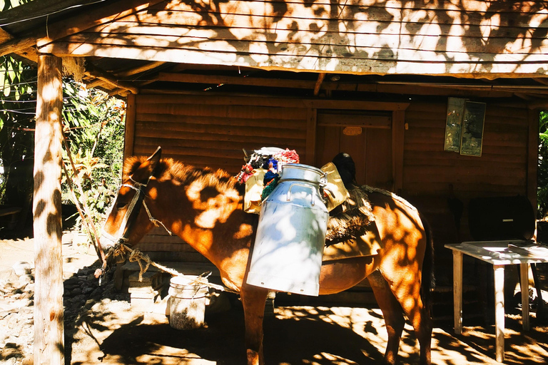 Trekking w Puerto Plata - doświadczenie natury i folkloru