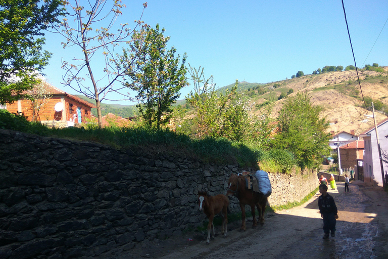 Skopje-Ohrid MTB Experience : Une vue imprenable sur la Macédoine