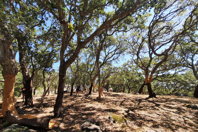 Monchique & Silves: guided day trip