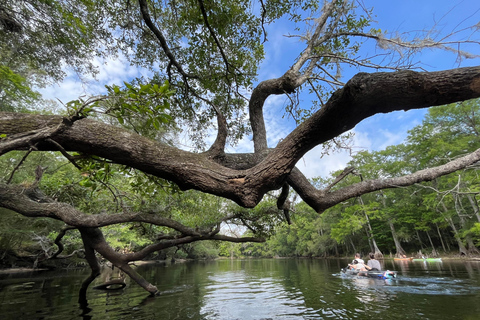 Gilchrist Blue: Clear Kayak Eco Tour