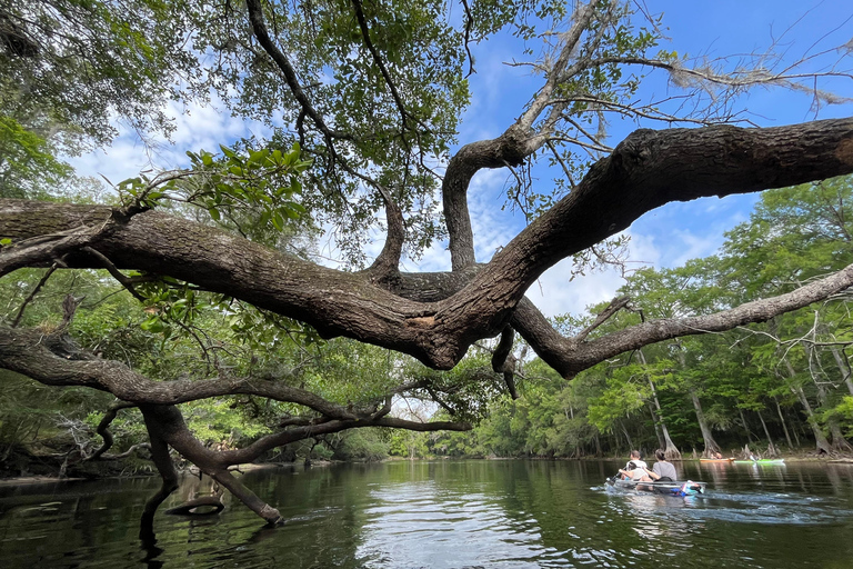 Gilchrist Blue: Clear Kayak Eco Tour