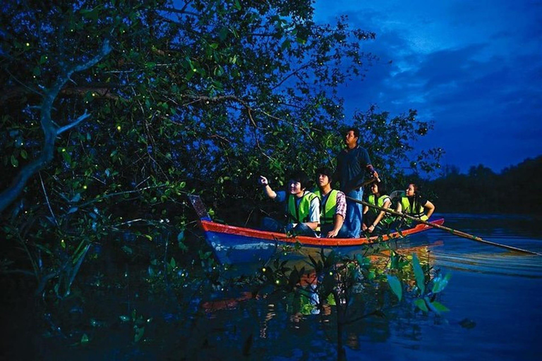 From Kuala Lumpur: Private Fireflies, Monkeys & Seafood Tour Kuala Lumpur: Kuala Selangor Fireflies & Dinner Tour