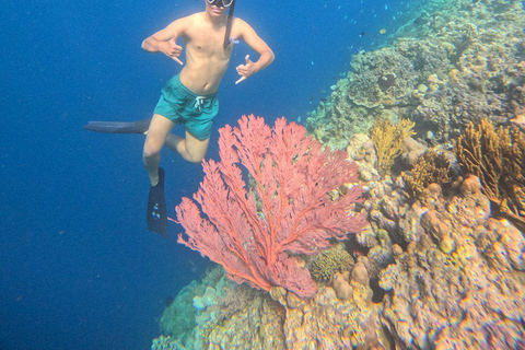 Pemuteran Bali: Menjangan Island Snorkeling Trip with Lunch