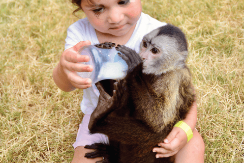 Monkey House VIP – Experiencia exclusiva en Punta Cana