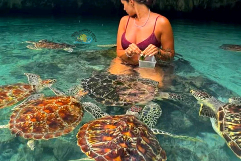 Zanzibar: Jozani Forest & Salaam Cave Sea Turtles Tour Private Self Transfer Experience