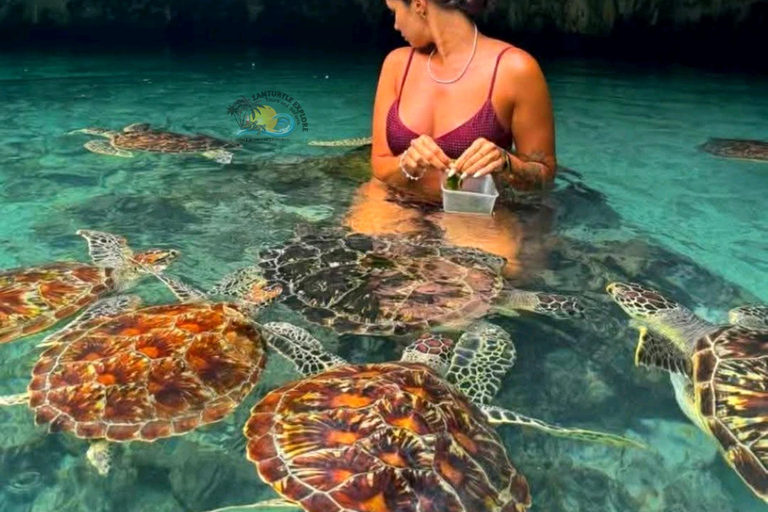 Zanzibar: Jozani Forest & Salaam Cave Sea Turtles Tour Private Self Transfer Experience