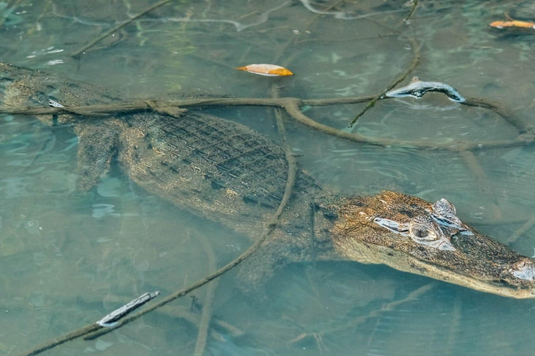 3-hour experience through the channels of the National Park.