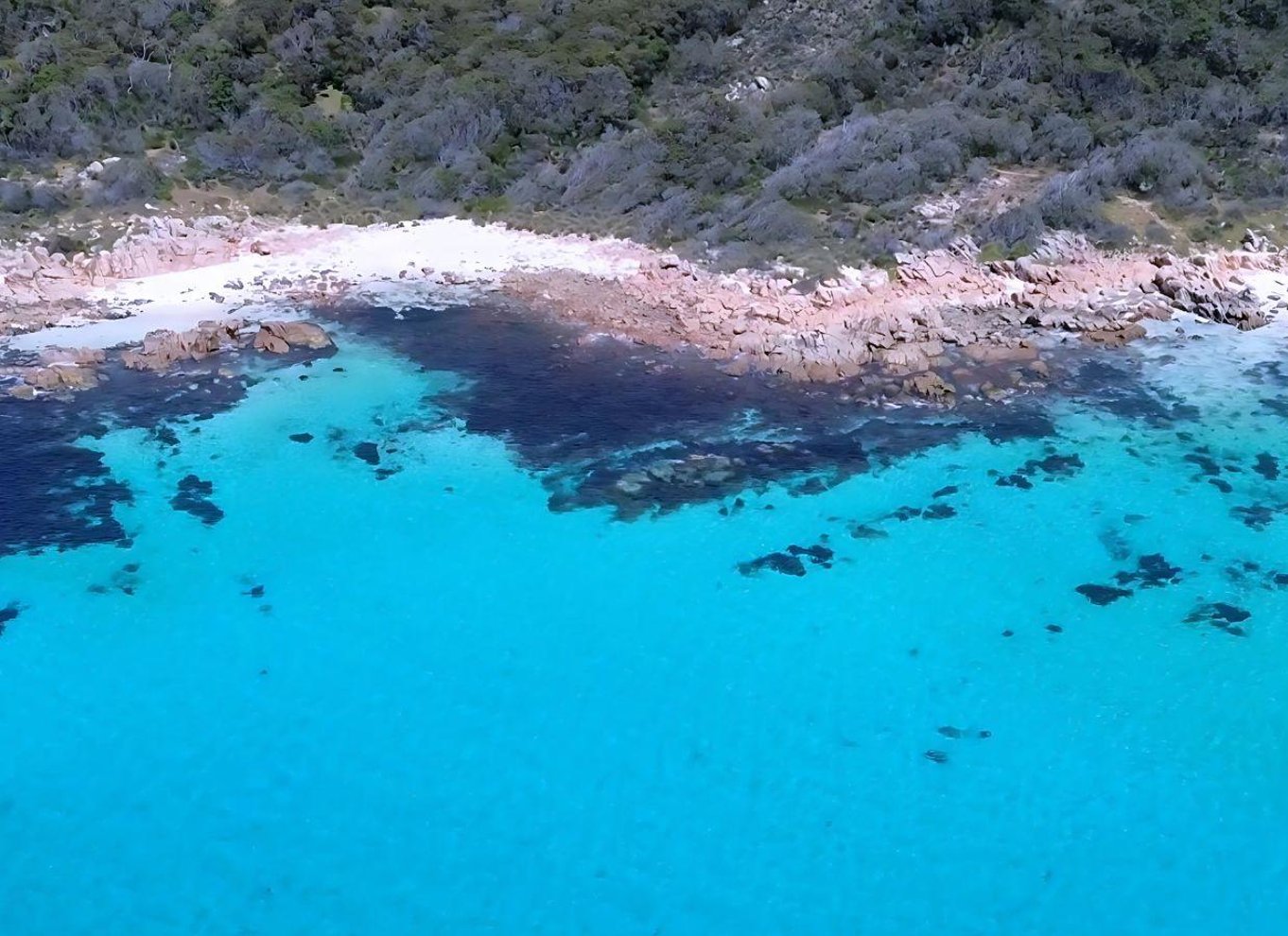 Dunsborough: Geographe Bay Eco & Snorkel bådtur