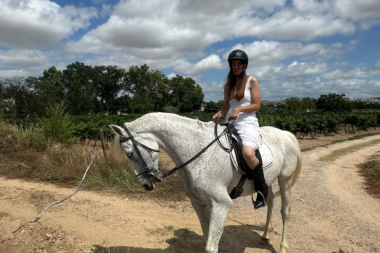 Alicante: Private Horseback Ride & Picnic with Transfer