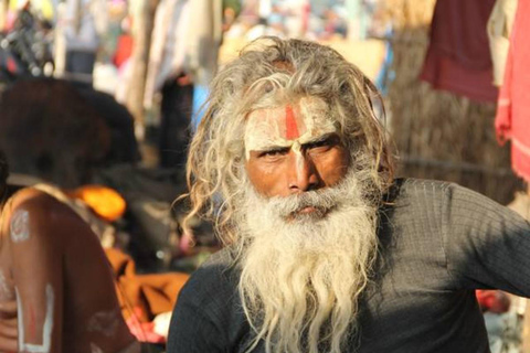 From Delhi: 15 Days Beyond the Golden Triangle Tour Includes -: Car + Local Tour Guide + Hotel 3*