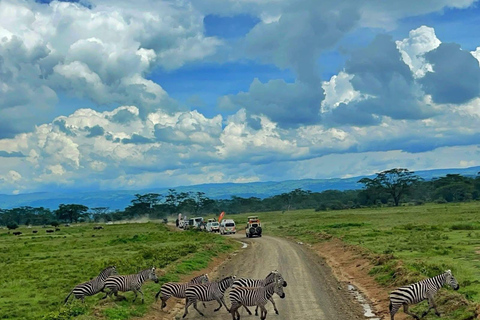Arusha :Tarangire National Park Day Trip Arusha :Tarangire National Park Day Trip - join group safari