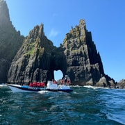 Dingle: Blasket Islands Wildlife Speedboat Tour Dingle: Blasket Islands Wildlife Speedboat Tour