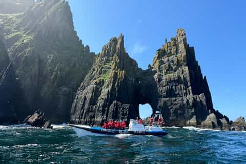 Dingle: Blasket Islands Wildlife Speedboat Tour - Image 3