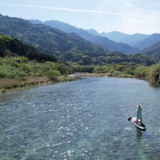 Yakushima: Private Guided Tour