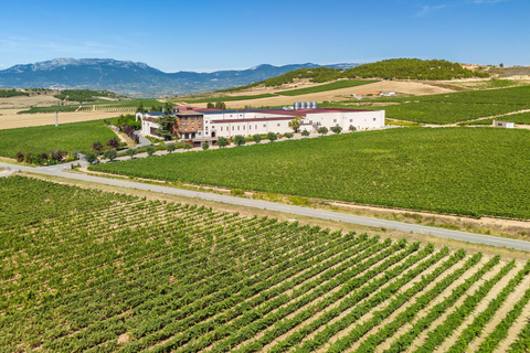 Bilbao: Rioja Wine Region Private Day Tour