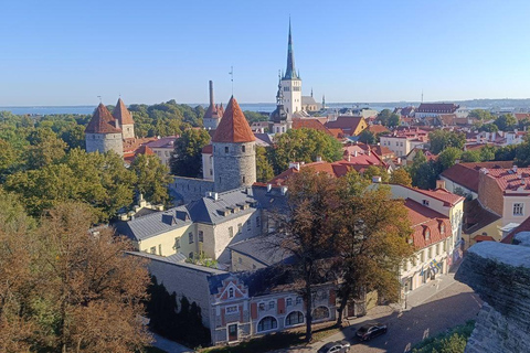 Old Tallinn & Medieval Past Private Tour