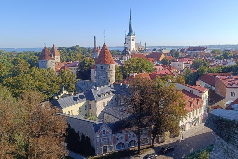 Old Tallinn & Medieval Past Private Tour