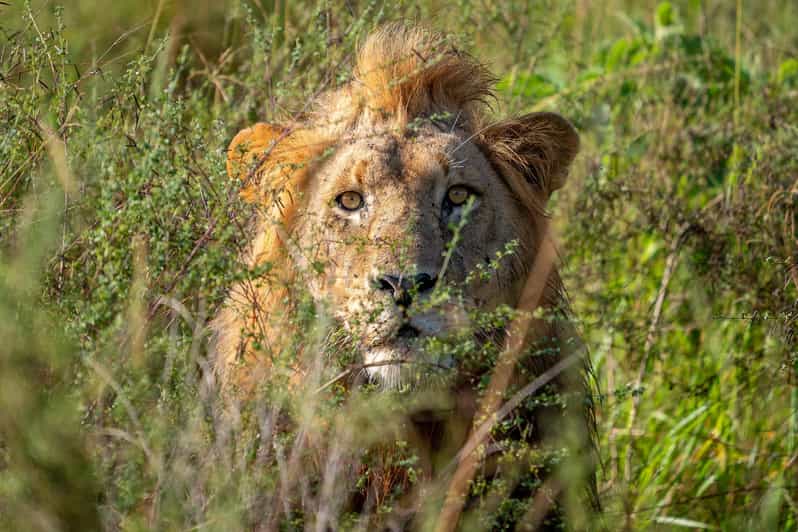 3 Day Akagera National Park Safari & Lake Muhazi.