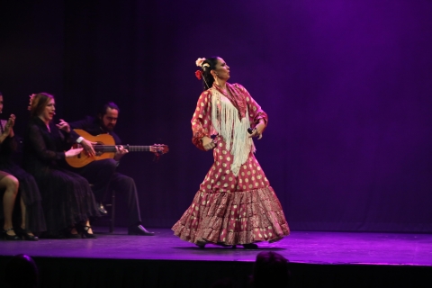 Flamenco show in Málaga