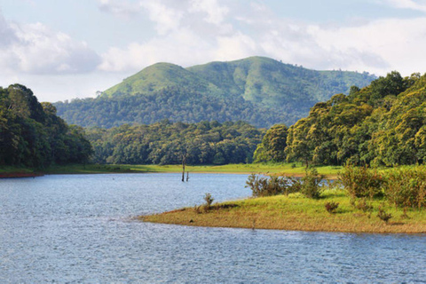 Ekskluzywna wycieczka Periyar Wildlife with Elephant Bath Tour (03 dni)