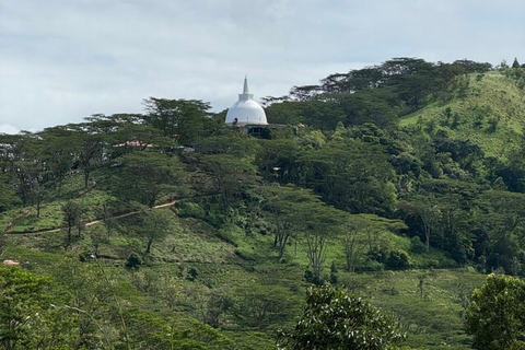 Kandy: Hidden Highlands Nature Walk