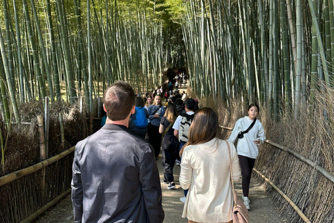 Kyoto : Visite privée flexible de Kyoto avec chauffeur parlant couramment l'anglais