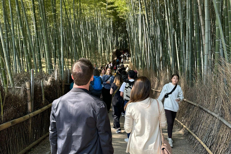 Kyoto : Visite privée flexible de Kyoto avec chauffeur parlant couramment l'anglais