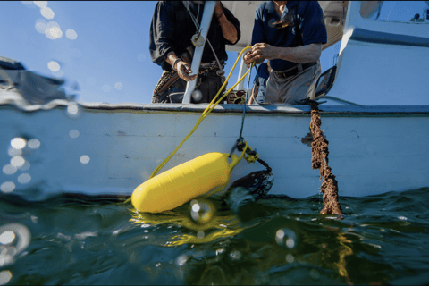 Belfast Lobster Fishing Experiences — Midcoast Maine Haul Traps & Feast: Maine Lobster Boat Experience