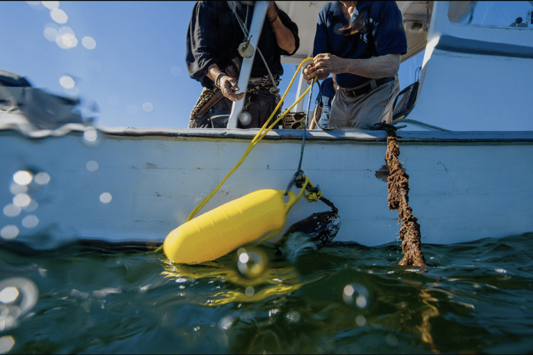 Belfast Lobster Fishing Experiences — Midcoast Maine Haul Traps & Feast: Maine Lobster Boat Experience