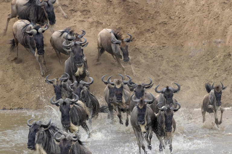 Safari de 3 días por la Migración del Serengeti -Grupo Aventura Tanzania