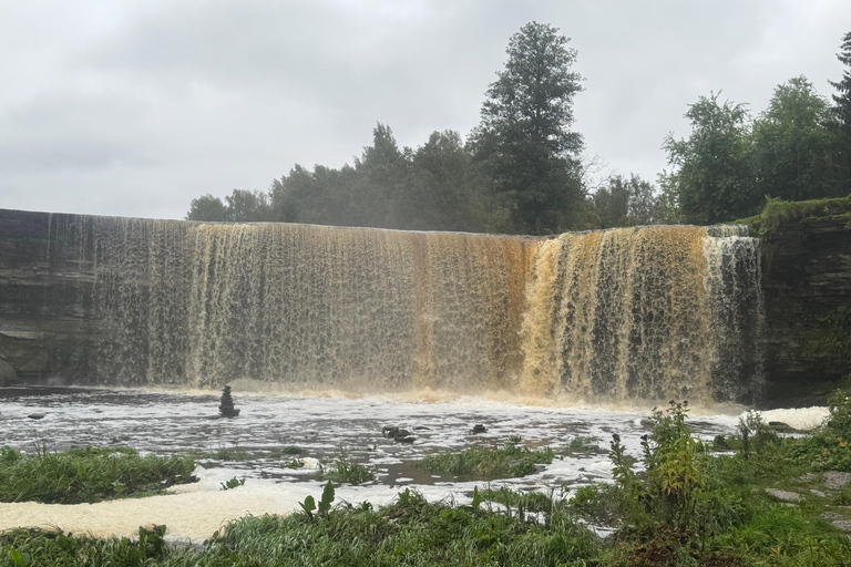 Nord de l'Estonie : circuit nature et mystère