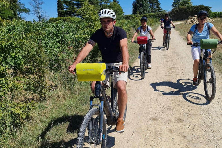 Chateau della Valle della Loira: tour di 2 giorni in bicicletta con degustazione di vini