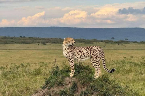 Tsavo East: Private Safari with Lunch and Transfers