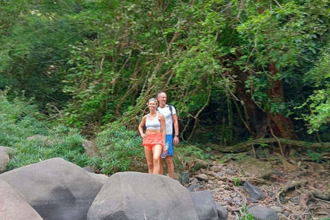 Khao Sok: Día de senderismo privado, cena en la selva y safari nocturno